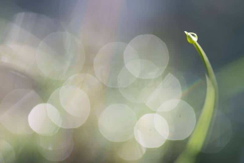Sur la pente du bonheur