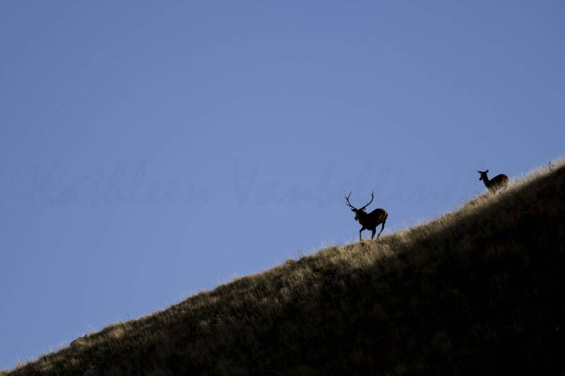 En couple à la montagne