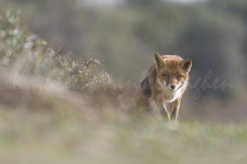 Les yeux dans les yeux