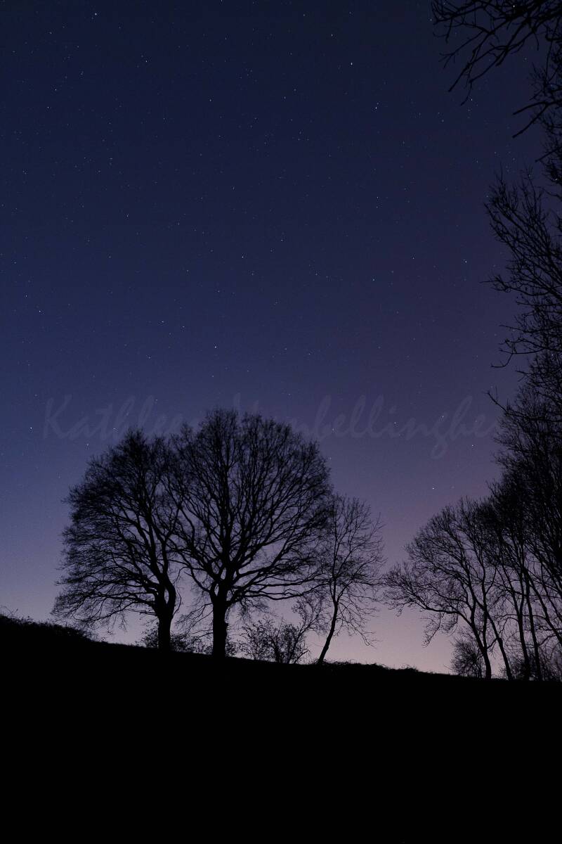 Le confinement a du bon