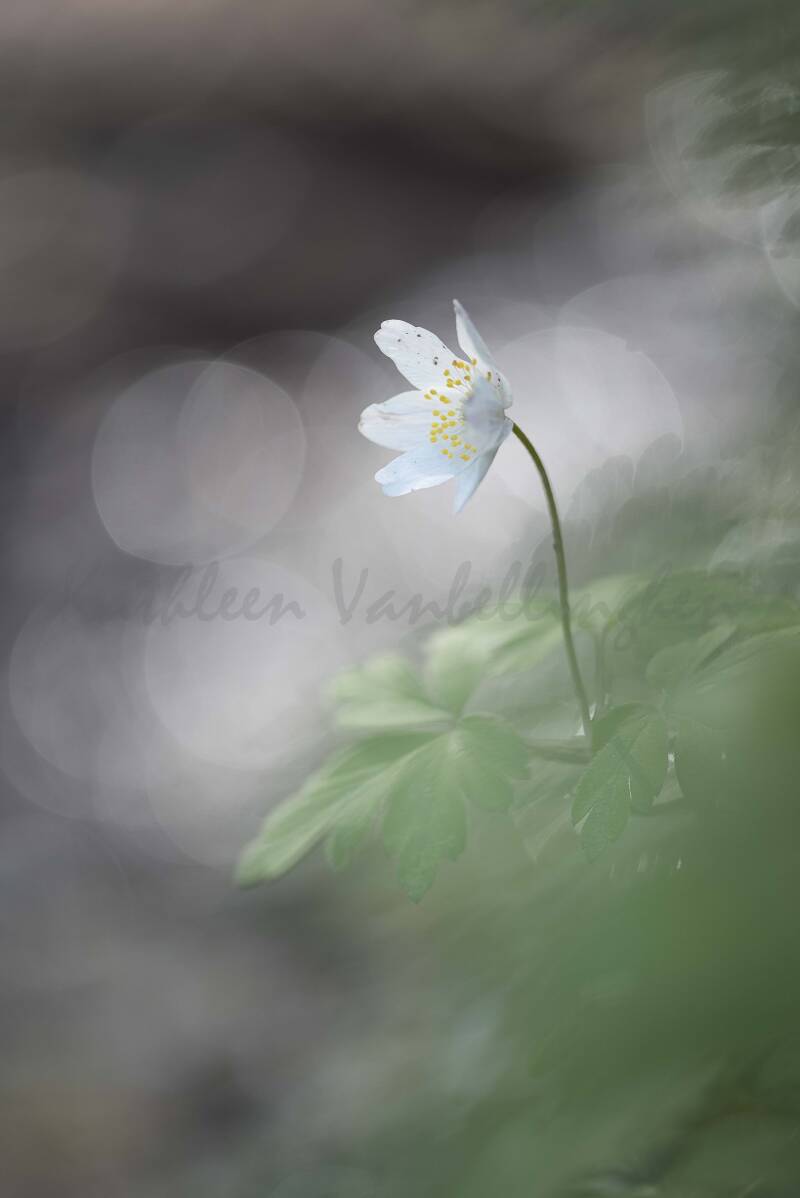 Sylvie se prélasse les pieds dans l&#039;eau