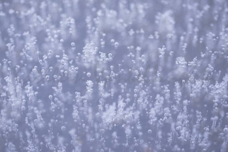 Remontée à la surface