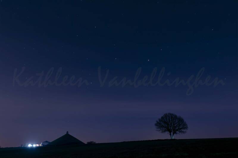 Rugissement du lion sous les étoiles