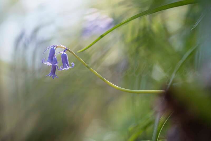 Partir à l&#039;horizon