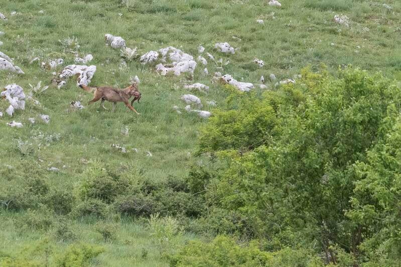 Déjeuner pour les petiots