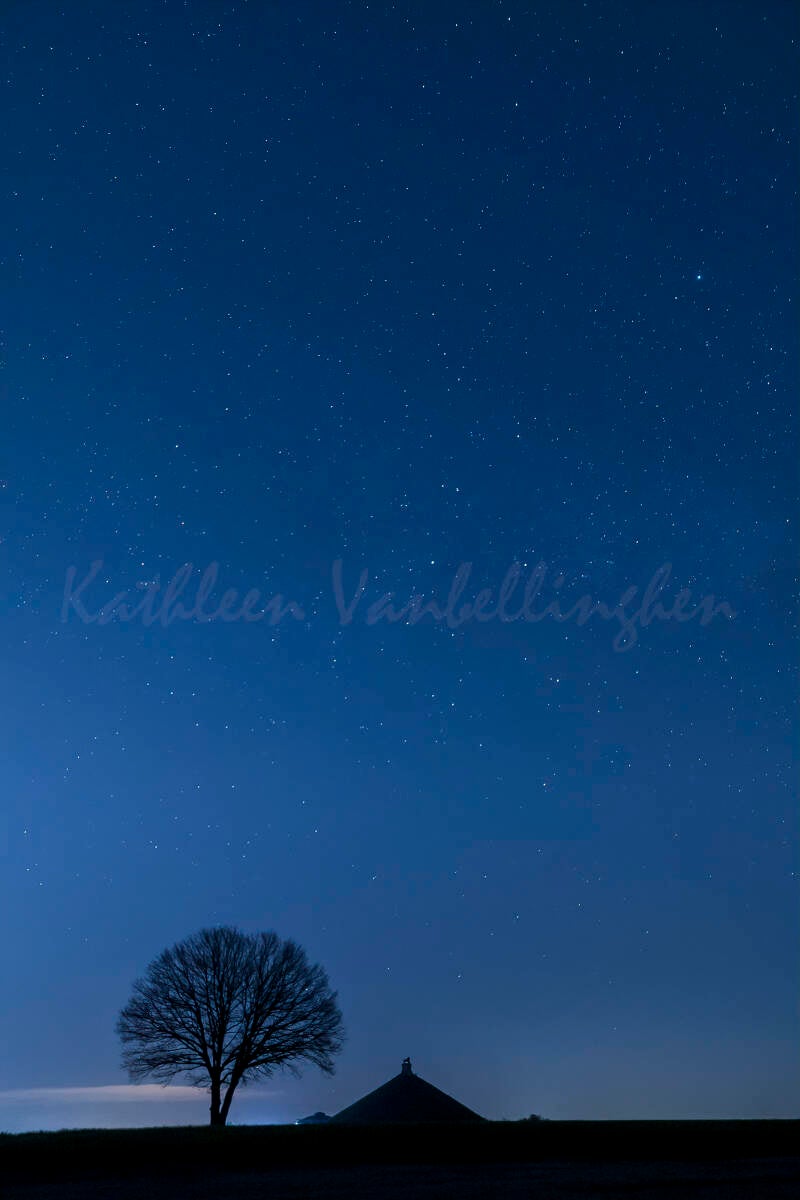 Rugissement sous les étoiles