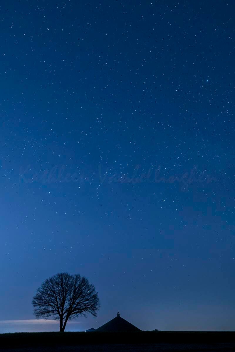 Rugissements sous les étoiles