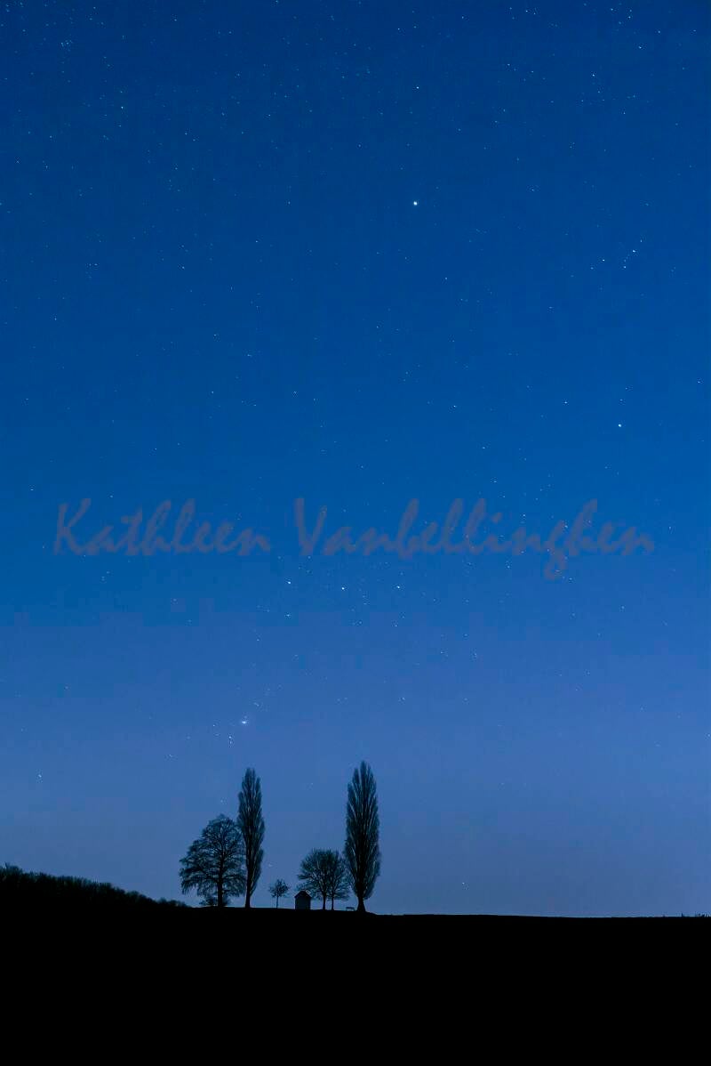 La petite chapelle entre les arbres