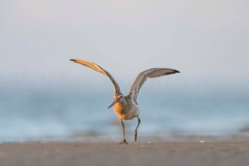 Décollage immédiat