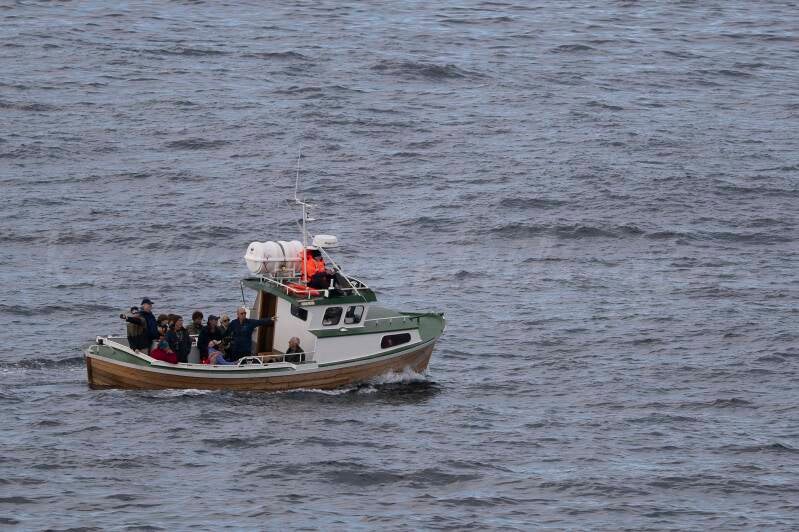 Tour en bateau à Runde