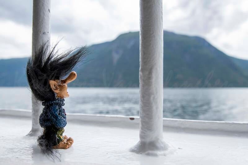 Petit troll dans un ferry, traversant un fjord