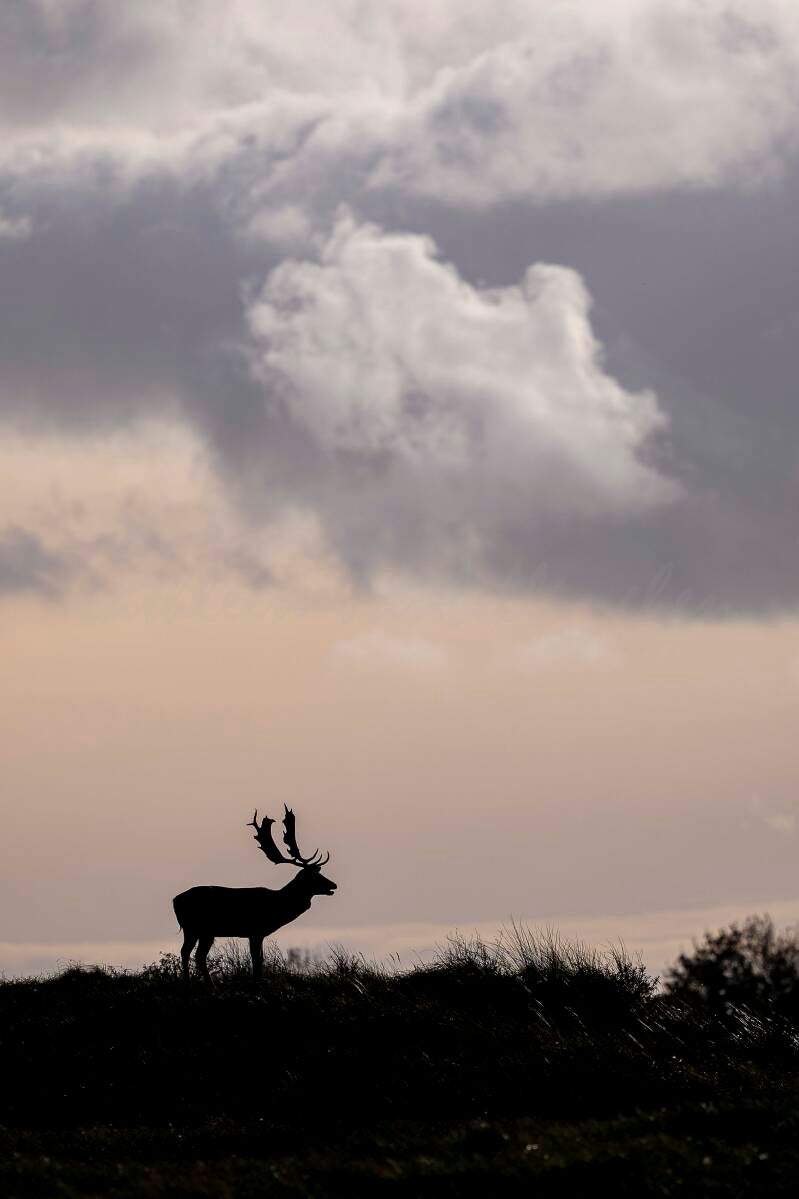 Le grand dans l'immensité du ciel