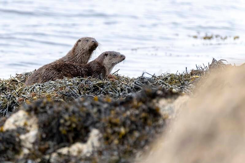 Que se passe-t-il là-bas?