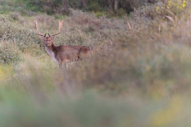 Au détour du chemin