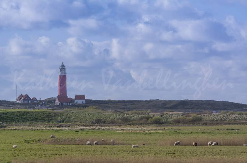 Texel - 004