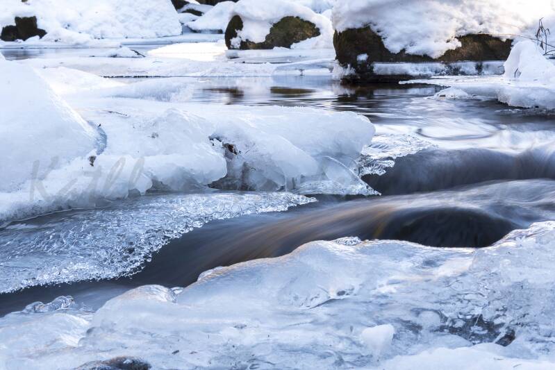L'or blanc de la rivière