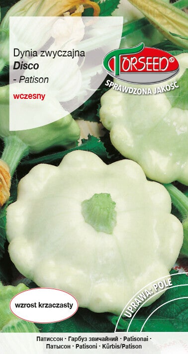 Dynia zwyczajna Patison disco (biała) (2g) Torseed