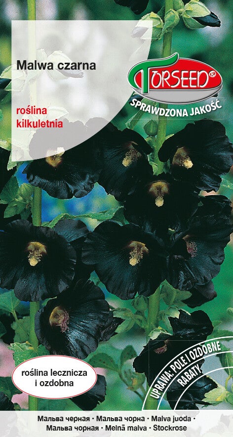 Malwa czarna (1g) Torseed