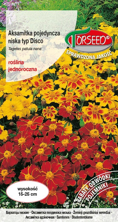 Aksamitka pojed.niska Disco (1g) Torseed