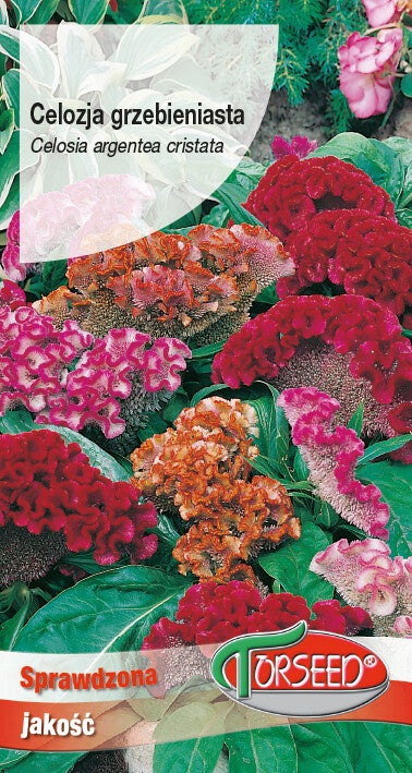 Celozja grzebieniasta (0,5g) Torseed
