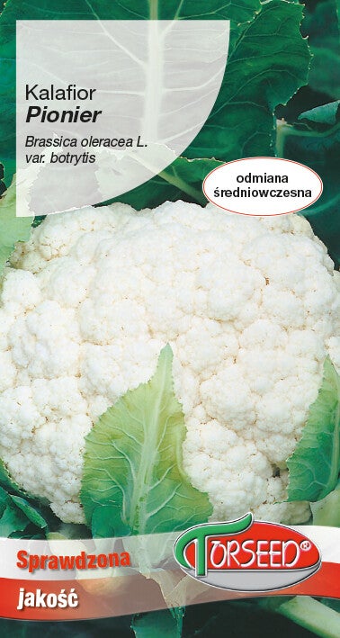 Kalafior (1g) Torseed