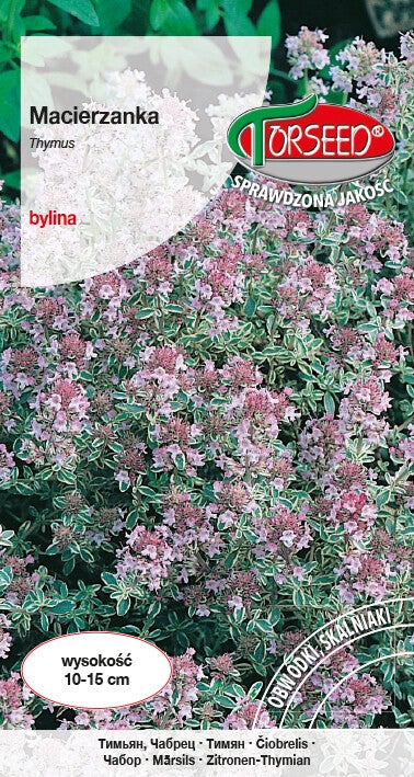 Macierzanka (0,3g) Torseed