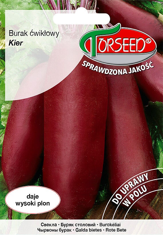 Burak ćwikłowy Kier (10g) Torseed