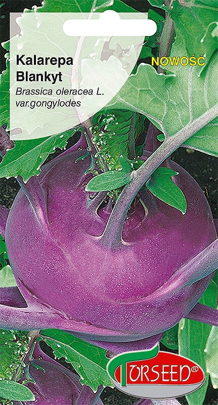 Kalarepa fioletowa (1g) Torseed