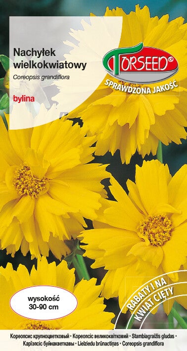 Nachyłek wielkokwiatowy (1g) Torseed