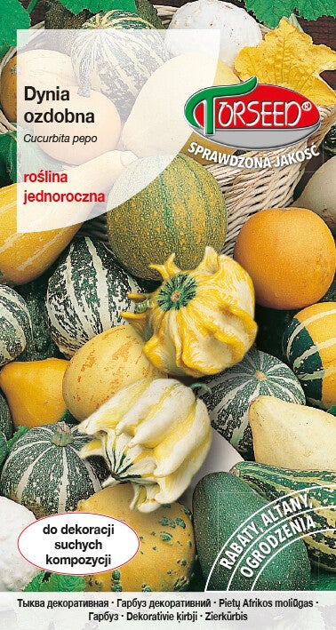 Dynia ozdobna mix (5g) Torseed