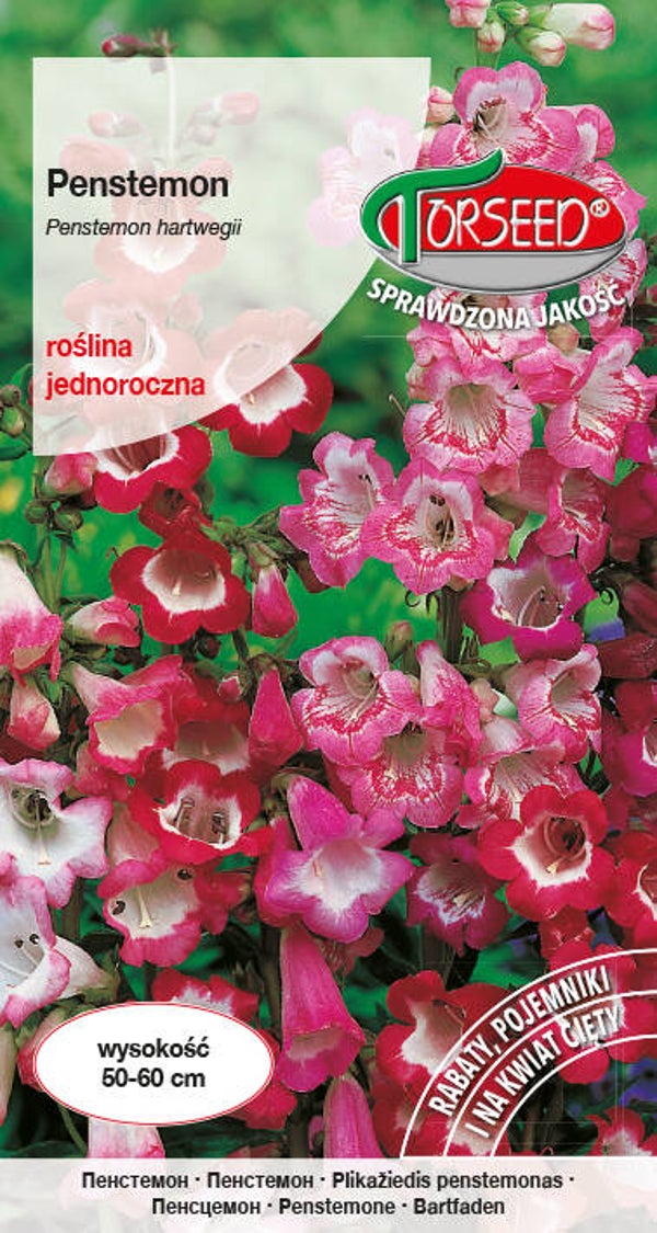 Penstemon (mix) (0,2g) Torseed