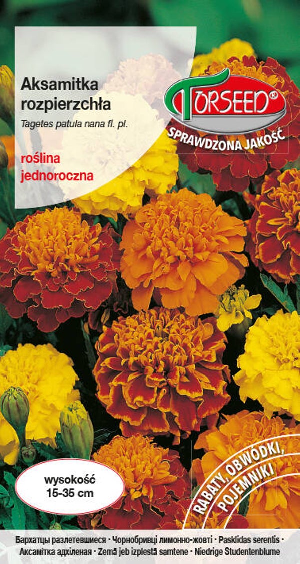 Aksamitka rozpierzchła niska (1g) Torseed