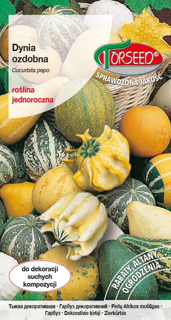 Dynia ozdobna mix (5g) Torseed