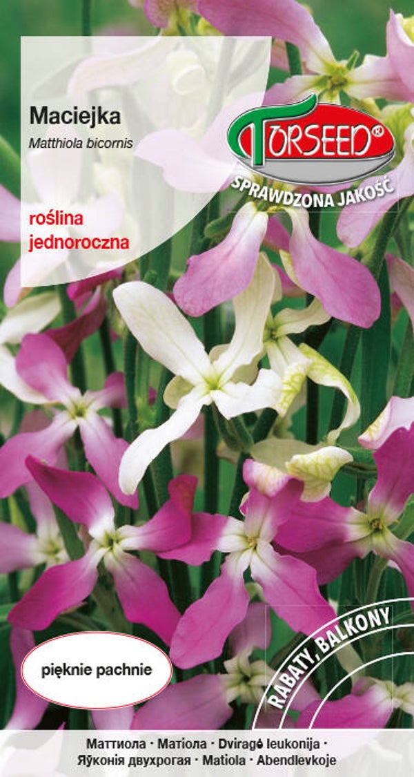 Maciejka różowa (3g) Torseed