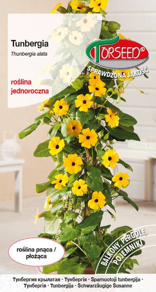 Thunbergia / Tunbergia pnącze (0,5g) Torseed