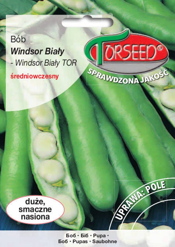 Bób (Windsor biały) (50g) Torseed