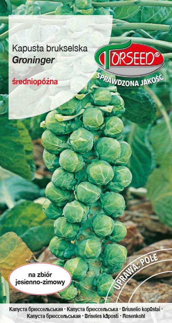 Brukselki (Kapusta brukselska) (2g) Torseed
