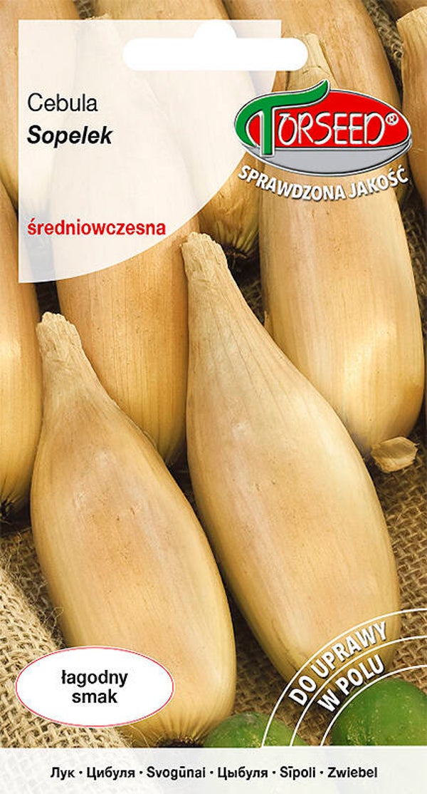 Cebula Sopelek (2g) Torseed