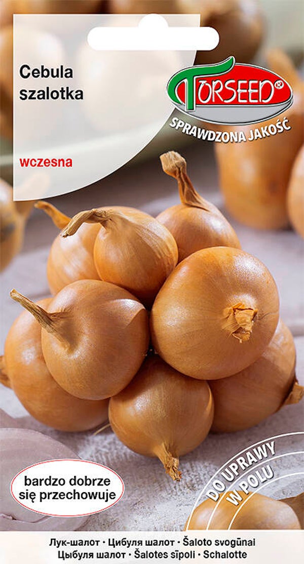 Cebula szalotka (1g) Torseed