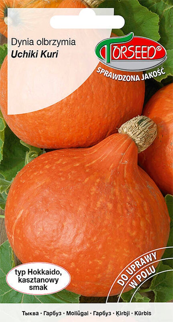 Dynia olbrzymia Uchiki Kuri (2g) Torseed