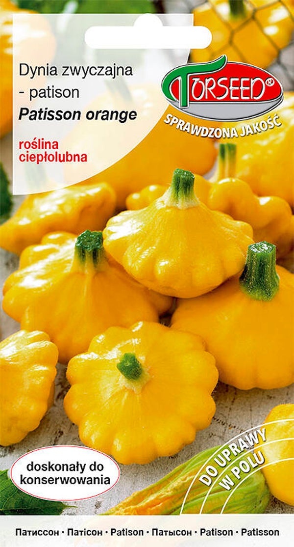 Dynia zwyczajna Patison żółta (1g) Torseed