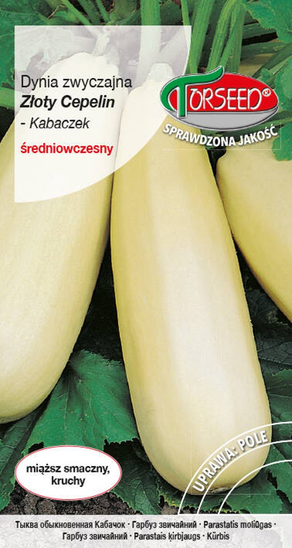 Dynia zwyczajna złota - Kabaczek (2g) Torseed