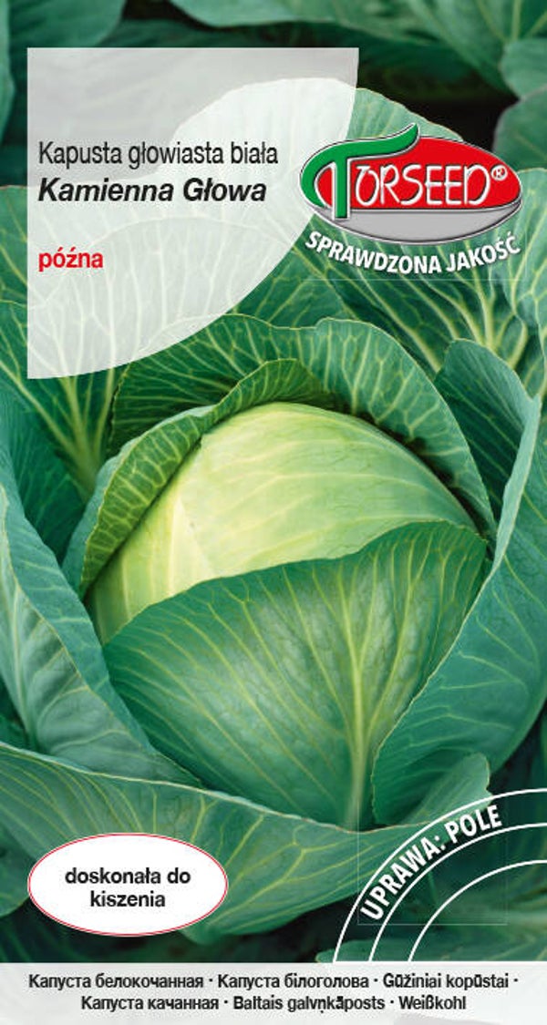 Kapusta głowiasta biała (Kamiennia Głowa) (2g) Torseed