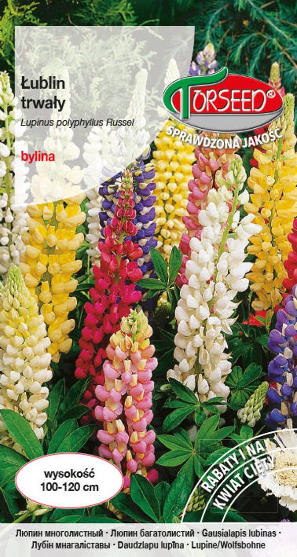 Łubin trwały (2g) Torseed