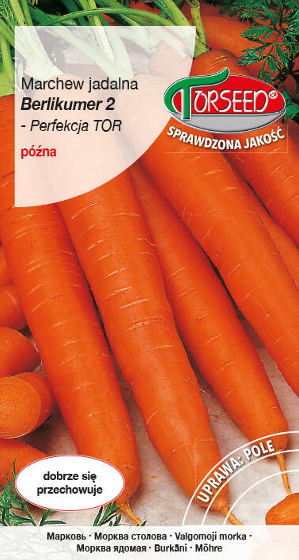 Marchew Berlikumer 2 (5g) Torseed
