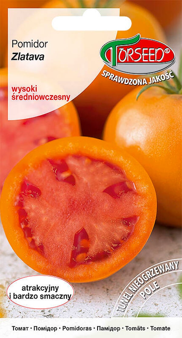 Pomidor wysoki Zlatava (0,2g) Torseed