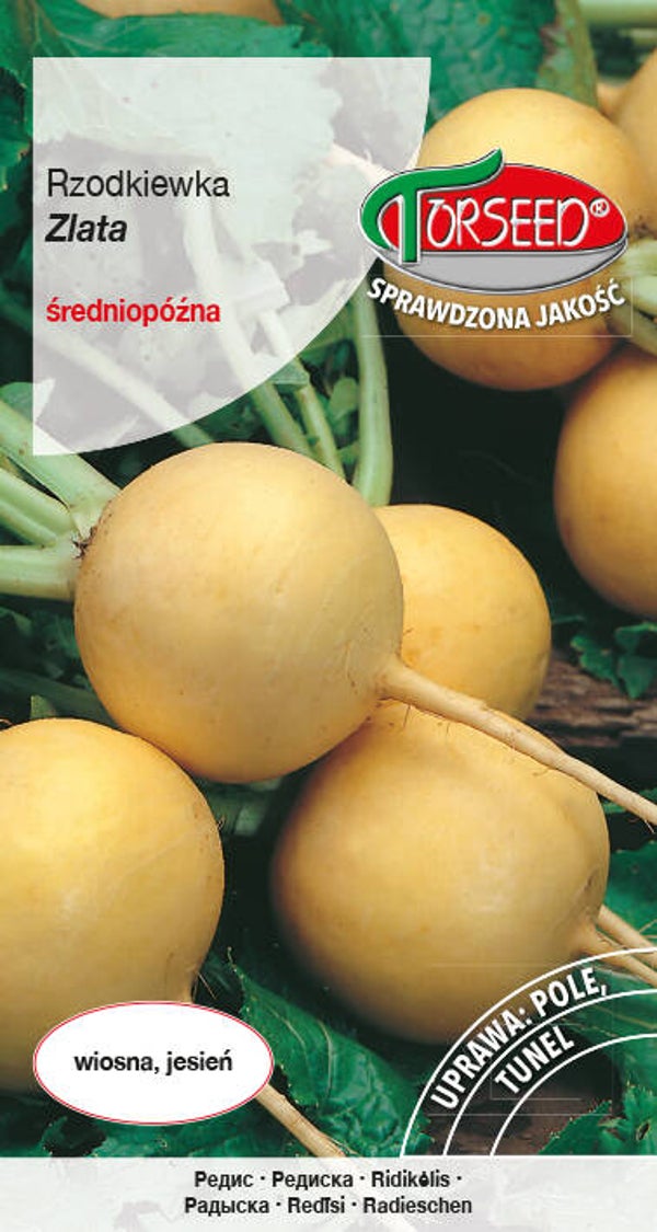 Rzodkiewka zlata. (Okrągła żółta) (5g) Torseed
