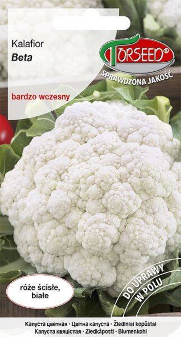 Kalafior (1g) Torseed