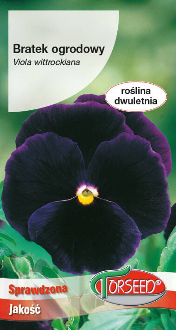 Bratek ciemnofioletowy (0,5g) Torseed