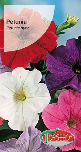Petunia ogrodowa niebieska (0,02gr) Torseed